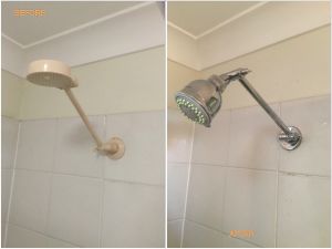 Shower Head