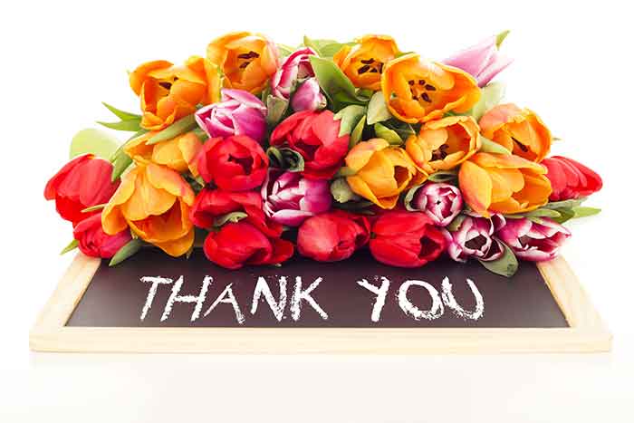 Thank you